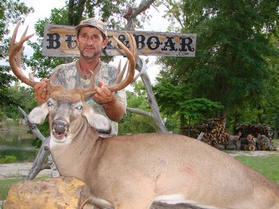 VELVET BUCK-163
