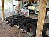 PILE-O-PORK