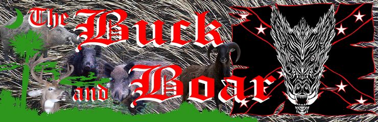 Header Graphic