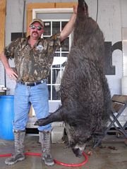 Owner Troy Ayer w/ clients hog