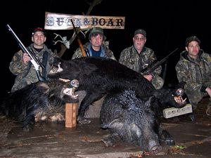 Three record book boar out of four