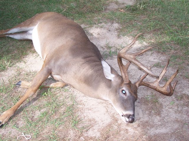 155" 10pt. taken in "06"